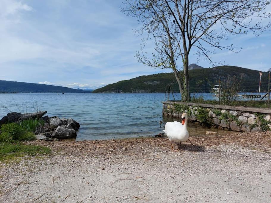 Charmant Et Spacieux Appartement A Quelques Pas Du Lac Duingt Dış mekan fotoğraf